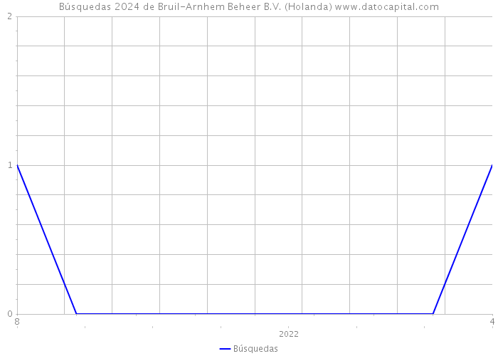 Búsquedas 2024 de Bruil-Arnhem Beheer B.V. (Holanda) 