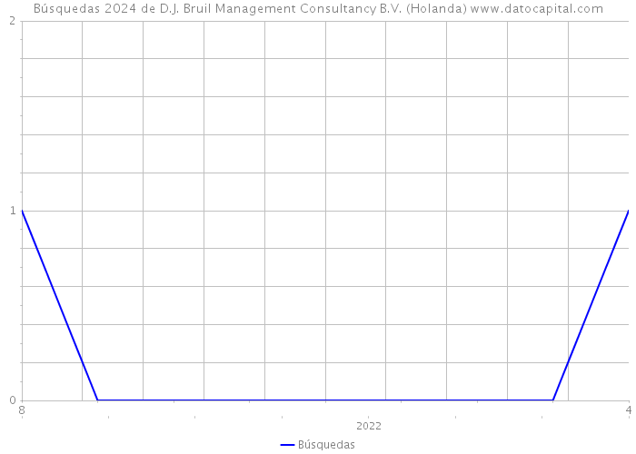 Búsquedas 2024 de D.J. Bruil Management Consultancy B.V. (Holanda) 