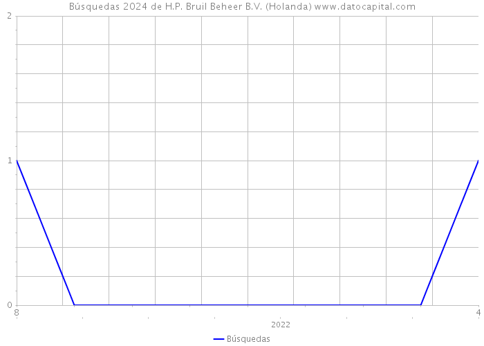 Búsquedas 2024 de H.P. Bruil Beheer B.V. (Holanda) 