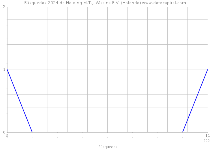 Búsquedas 2024 de Holding M.T.J. Wissink B.V. (Holanda) 