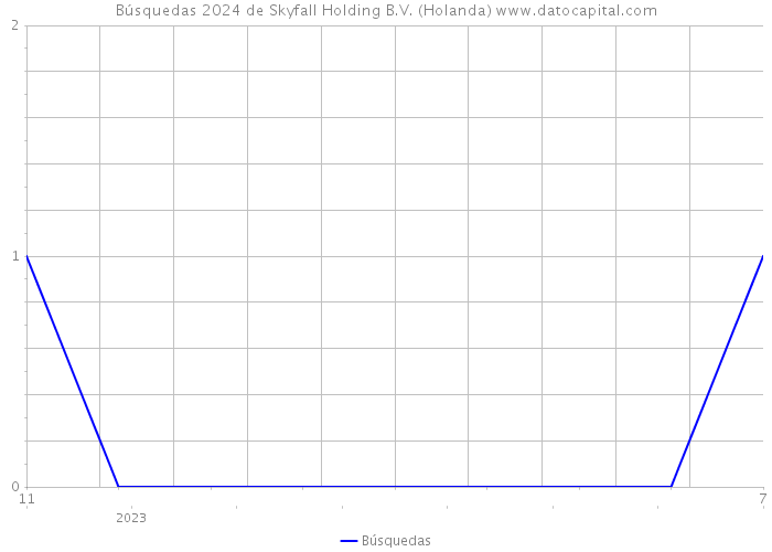 Búsquedas 2024 de Skyfall Holding B.V. (Holanda) 