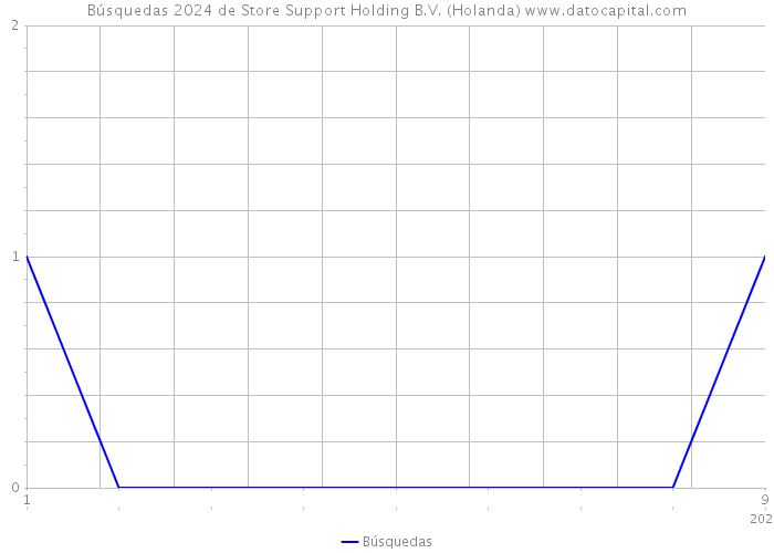 Búsquedas 2024 de Store Support Holding B.V. (Holanda) 
