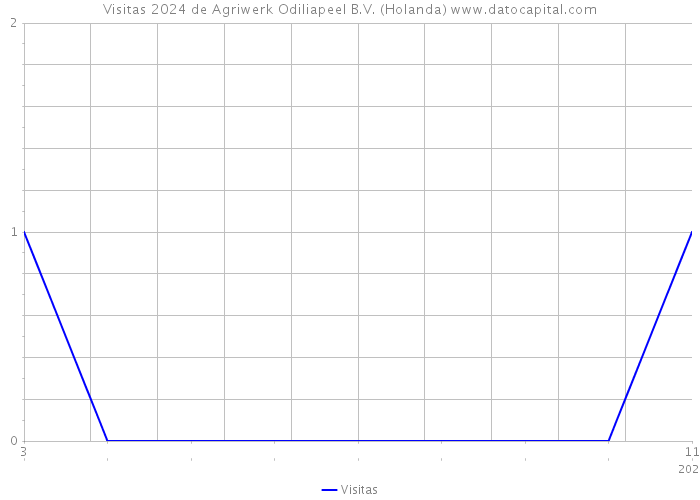 Visitas 2024 de Agriwerk Odiliapeel B.V. (Holanda) 