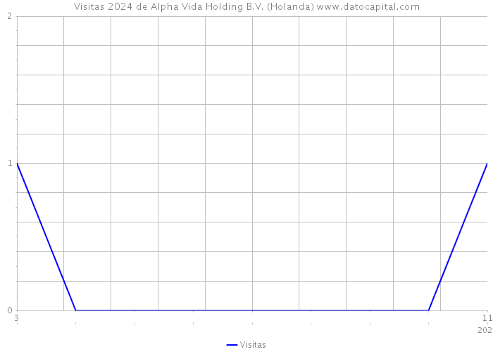 Visitas 2024 de Alpha Vida Holding B.V. (Holanda) 