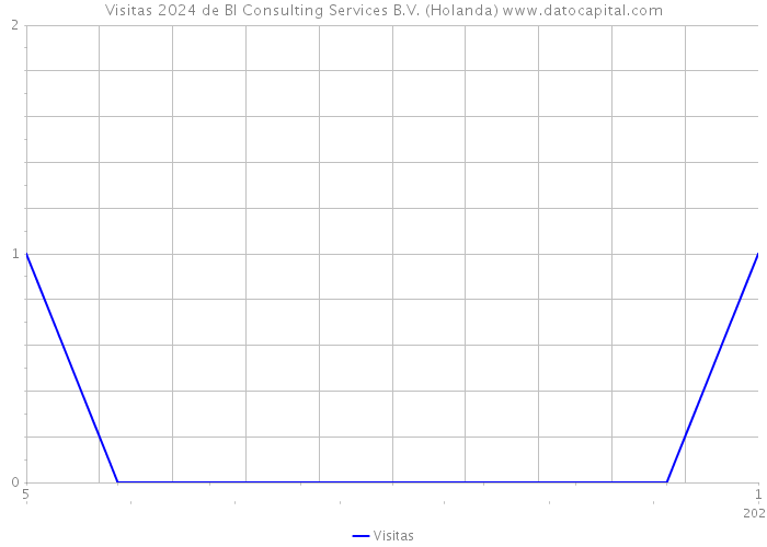 Visitas 2024 de BI Consulting Services B.V. (Holanda) 