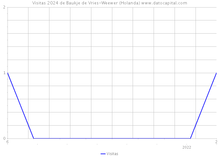 Visitas 2024 de Baukje de Vries-Weewer (Holanda) 