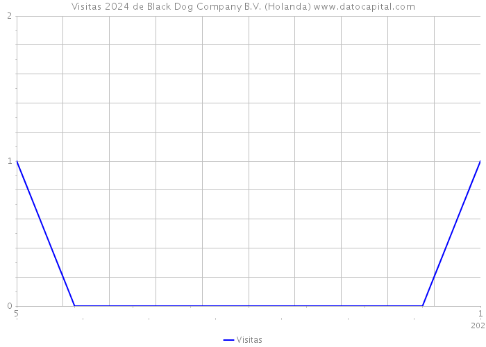 Visitas 2024 de Black Dog Company B.V. (Holanda) 