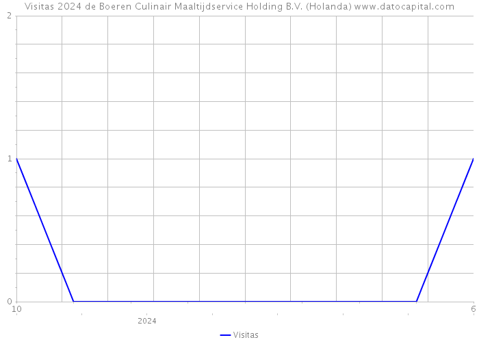 Visitas 2024 de Boeren Culinair Maaltijdservice Holding B.V. (Holanda) 