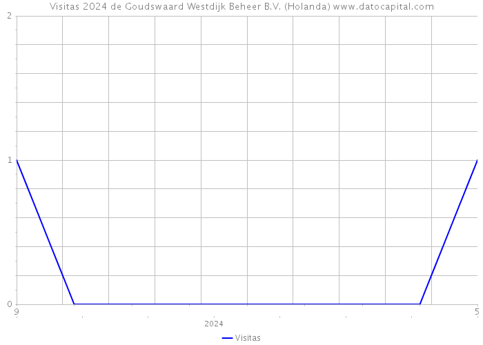 Visitas 2024 de Goudswaard Westdijk Beheer B.V. (Holanda) 