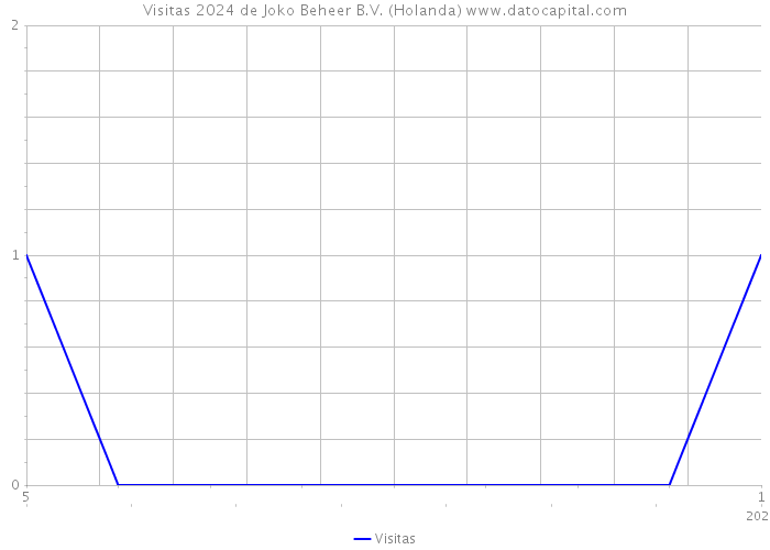 Visitas 2024 de Joko Beheer B.V. (Holanda) 