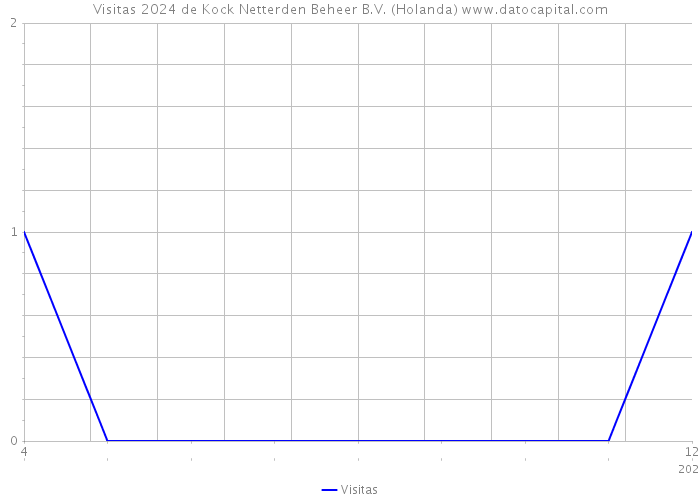 Visitas 2024 de Kock Netterden Beheer B.V. (Holanda) 