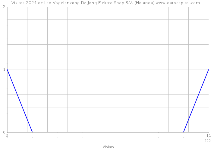 Visitas 2024 de Leo Vogelenzang De Jong Elektro Shop B.V. (Holanda) 