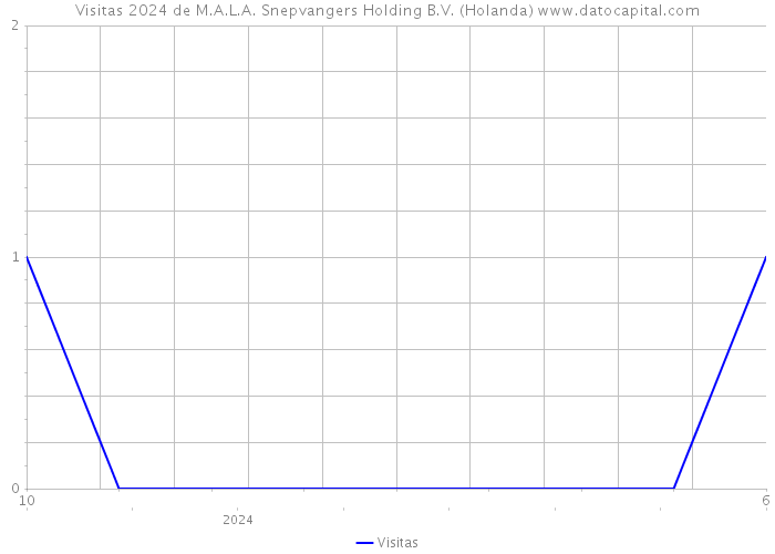 Visitas 2024 de M.A.L.A. Snepvangers Holding B.V. (Holanda) 