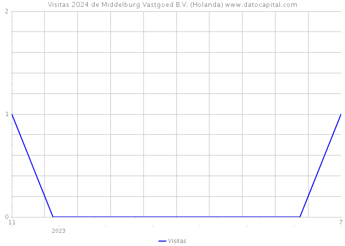 Visitas 2024 de Middelburg Vastgoed B.V. (Holanda) 