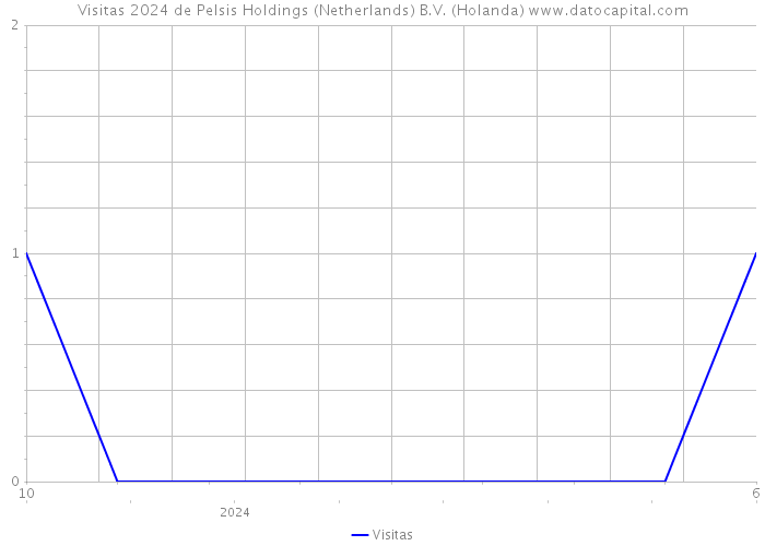 Visitas 2024 de Pelsis Holdings (Netherlands) B.V. (Holanda) 