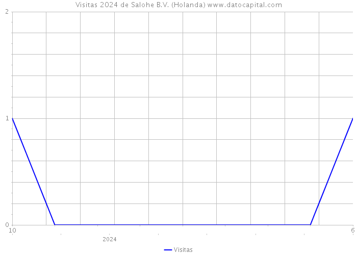 Visitas 2024 de Salohe B.V. (Holanda) 