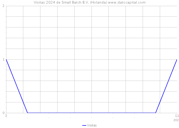 Visitas 2024 de Small Batch B.V. (Holanda) 