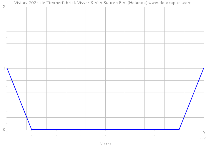 Visitas 2024 de Timmerfabriek Visser & Van Buuren B.V. (Holanda) 