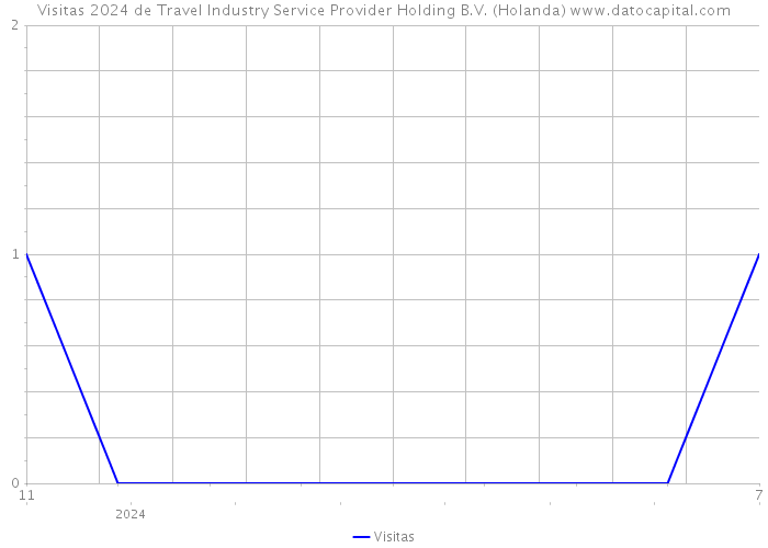 Visitas 2024 de Travel Industry Service Provider Holding B.V. (Holanda) 