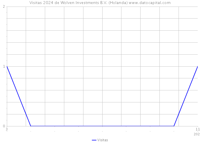 Visitas 2024 de Wolven Investments B.V. (Holanda) 