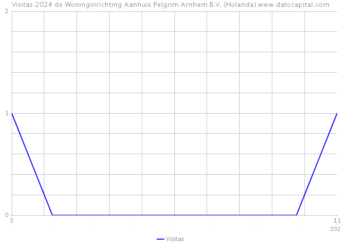 Visitas 2024 de Woninginrichting Aanhuis Pelgrim Arnhem B.V. (Holanda) 