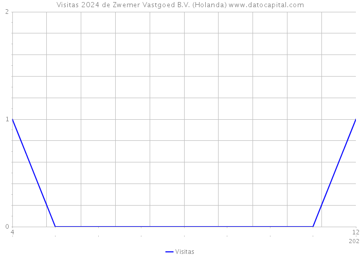 Visitas 2024 de Zwemer Vastgoed B.V. (Holanda) 