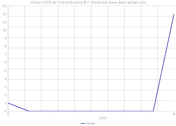 Visitas 2024 de Kobra Holding B.V. (Holanda) 