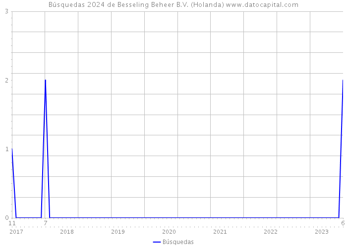 Búsquedas 2024 de Besseling Beheer B.V. (Holanda) 