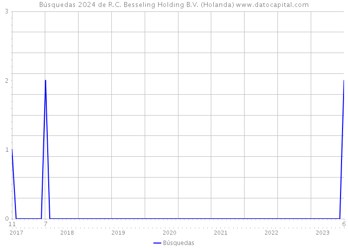 Búsquedas 2024 de R.C. Besseling Holding B.V. (Holanda) 