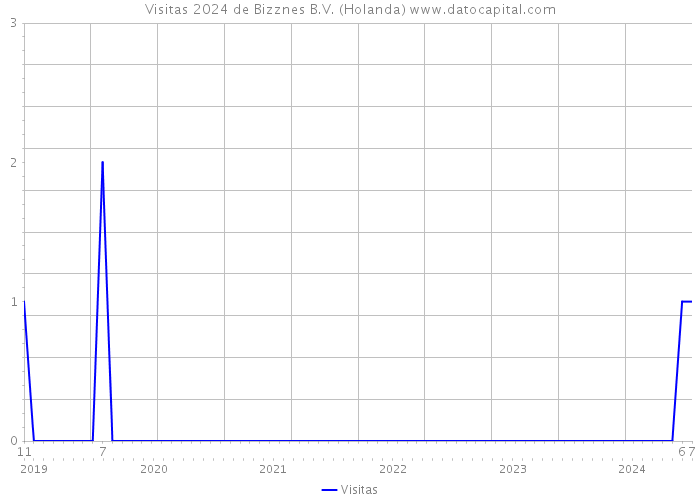 Visitas 2024 de Bizznes B.V. (Holanda) 