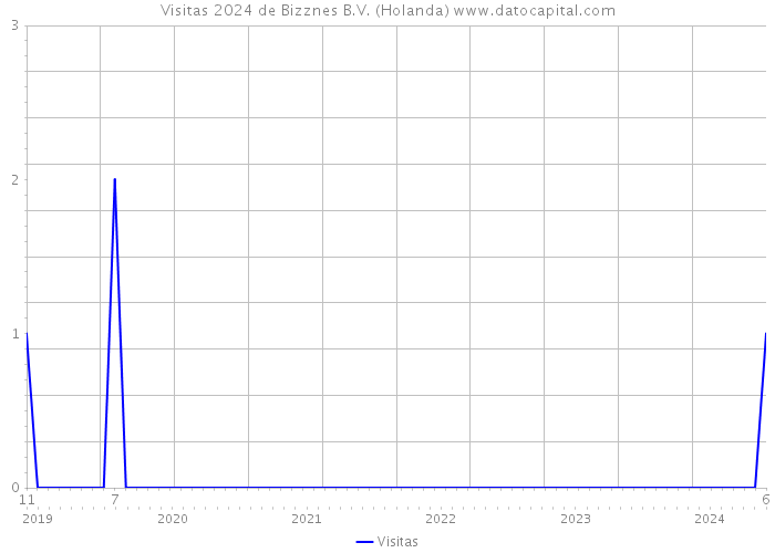 Visitas 2024 de Bizznes B.V. (Holanda) 