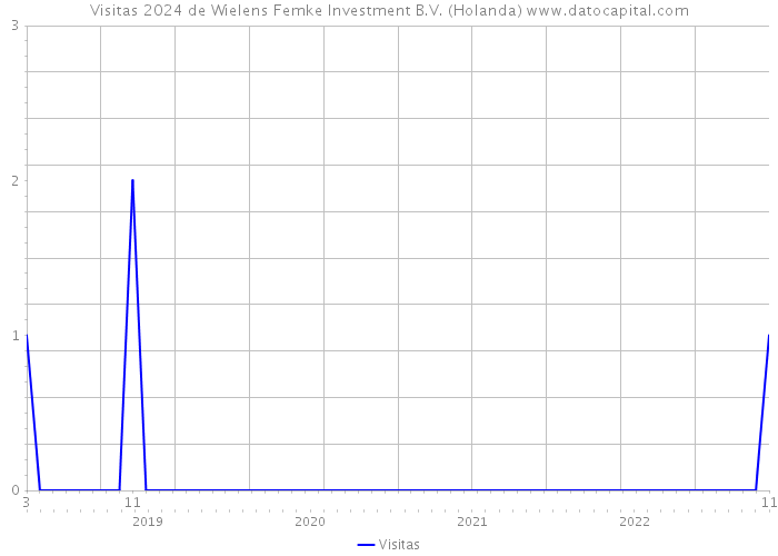 Visitas 2024 de Wielens Femke Investment B.V. (Holanda) 