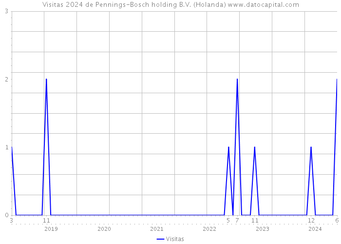 Visitas 2024 de Pennings-Bosch holding B.V. (Holanda) 