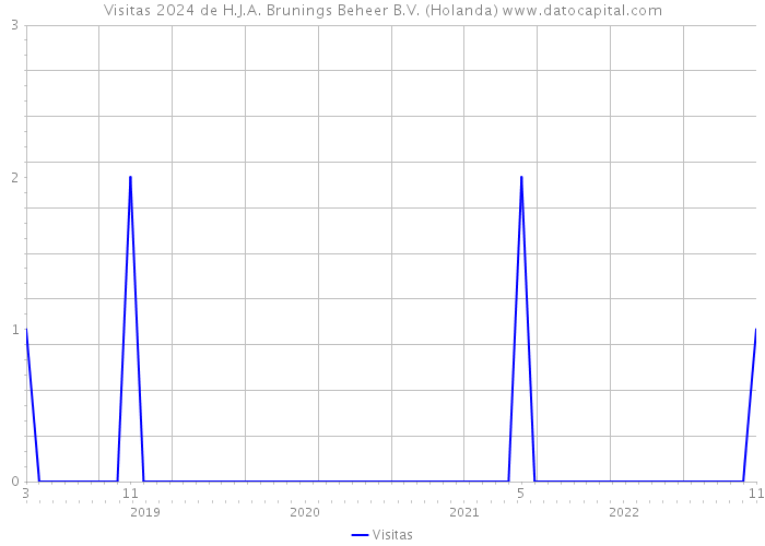 Visitas 2024 de H.J.A. Brunings Beheer B.V. (Holanda) 