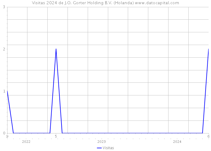 Visitas 2024 de J.O. Gorter Holding B.V. (Holanda) 