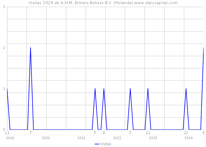 Visitas 2024 de A.H.M. Ermers Beheer B.V. (Holanda) 