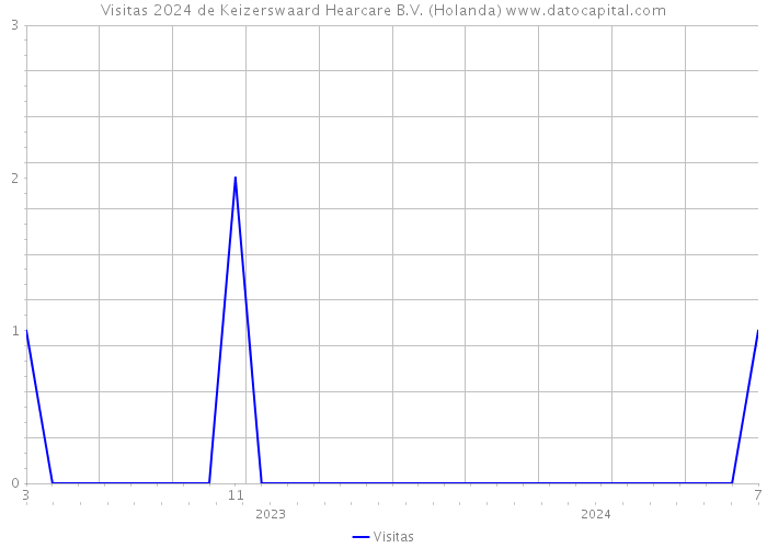 Visitas 2024 de Keizerswaard Hearcare B.V. (Holanda) 