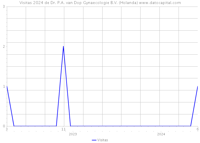 Visitas 2024 de Dr. P.A. van Dop Gynaecologie B.V. (Holanda) 