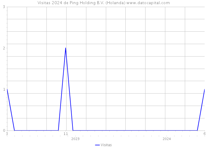 Visitas 2024 de Ping Holding B.V. (Holanda) 