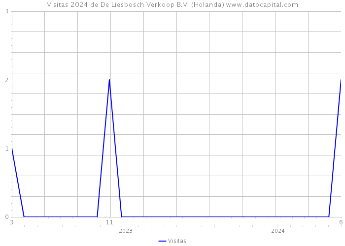 Visitas 2024 de De Liesbosch Verkoop B.V. (Holanda) 