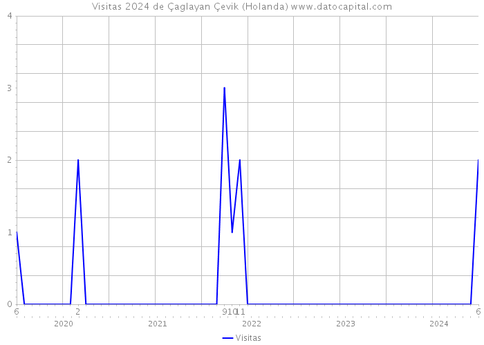 Visitas 2024 de Çaglayan Çevik (Holanda) 