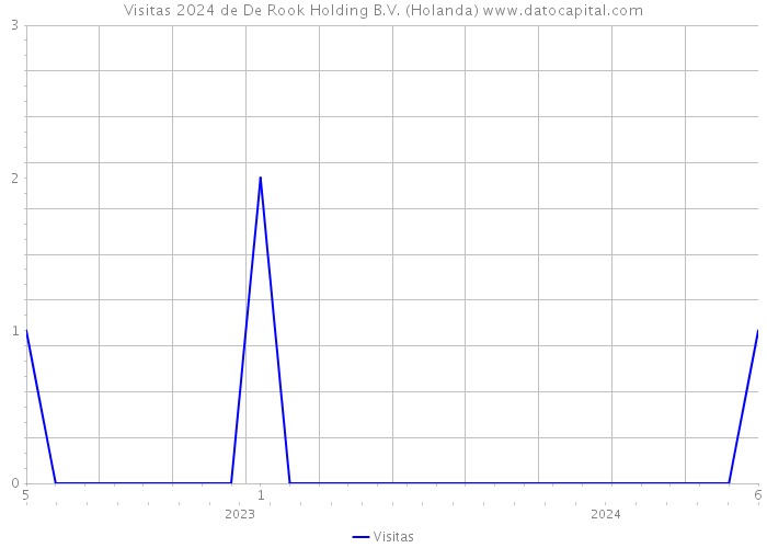 Visitas 2024 de De Rook Holding B.V. (Holanda) 