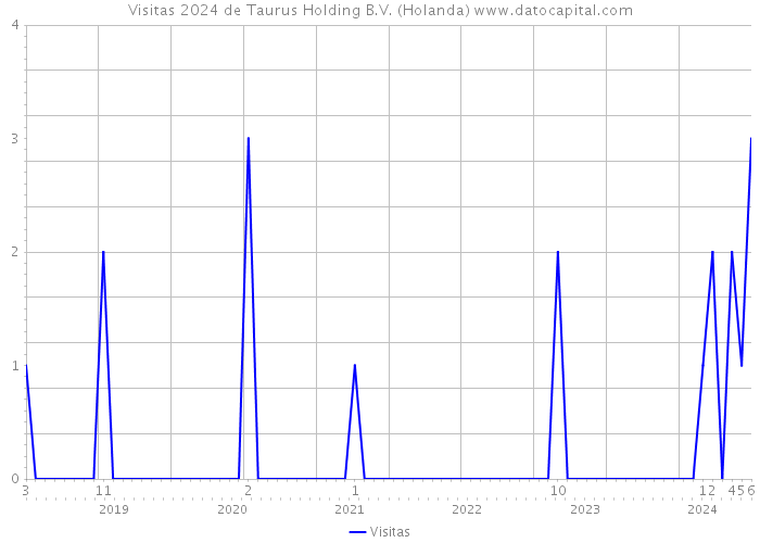 Visitas 2024 de Taurus Holding B.V. (Holanda) 