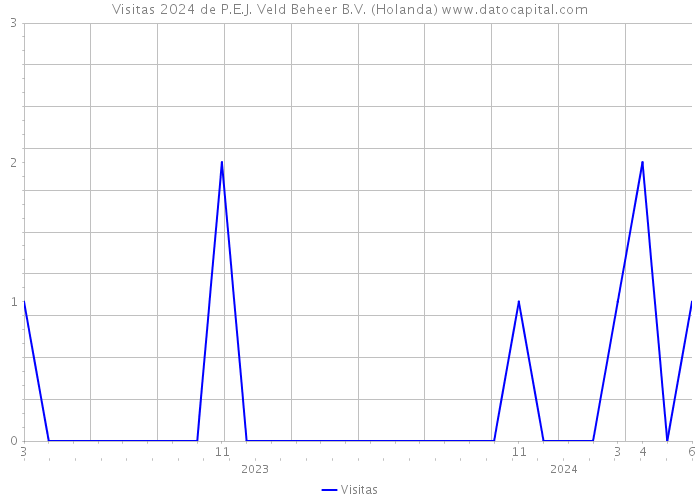 Visitas 2024 de P.E.J. Veld Beheer B.V. (Holanda) 