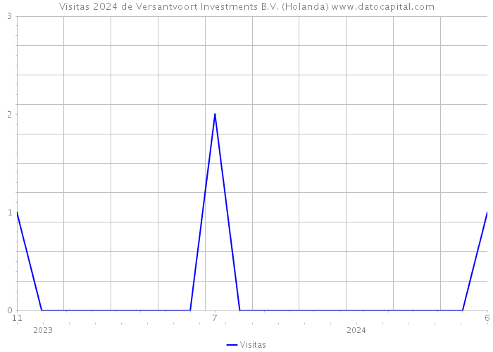 Visitas 2024 de Versantvoort Investments B.V. (Holanda) 