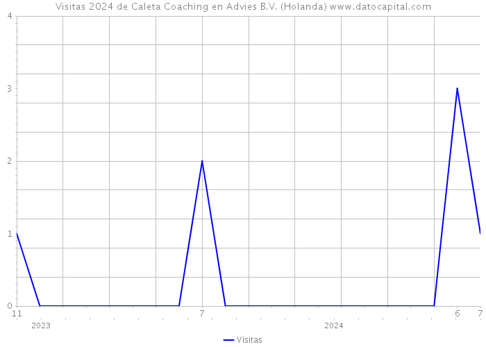 Visitas 2024 de Caleta Coaching en Advies B.V. (Holanda) 