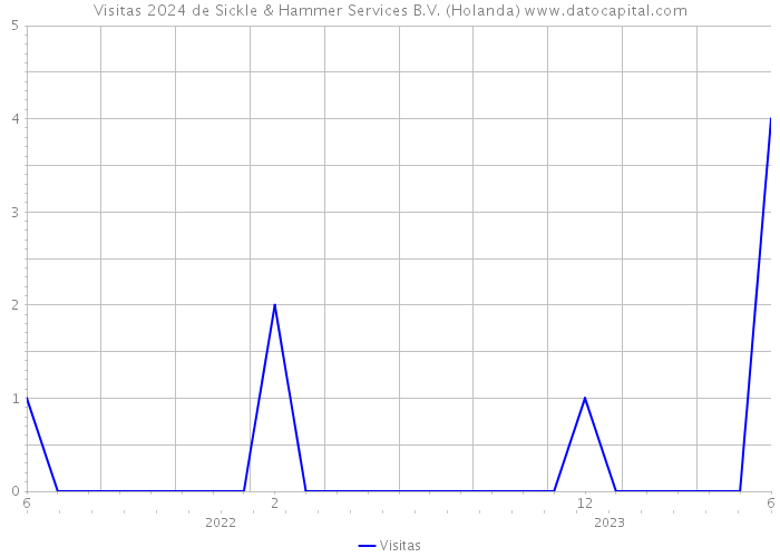 Visitas 2024 de Sickle & Hammer Services B.V. (Holanda) 