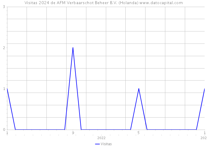 Visitas 2024 de AFM Verbaarschot Beheer B.V. (Holanda) 