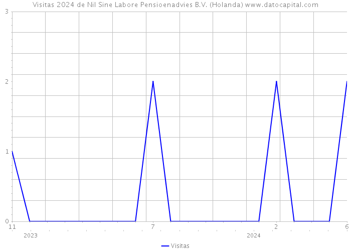 Visitas 2024 de Nil Sine Labore Pensioenadvies B.V. (Holanda) 