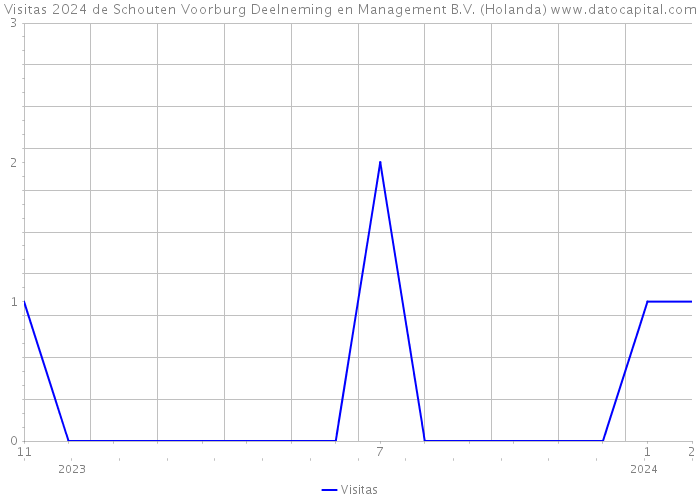 Visitas 2024 de Schouten Voorburg Deelneming en Management B.V. (Holanda) 